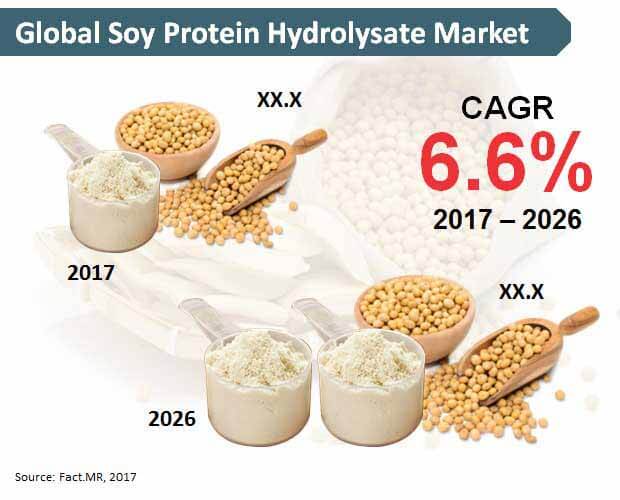 soy protein hydrolysate market