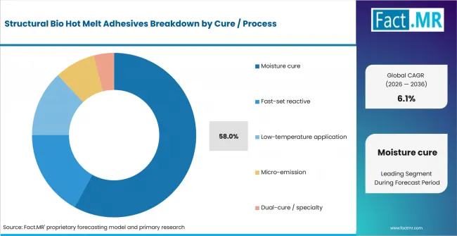 Structural Bio Hot Melt Adhesives Analysis By Cure Process