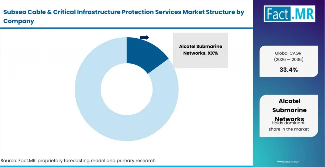 Subsea Cable & Critical Infrastructure Protection Services Market Analysis By Company Subsea Cable & Critical Infrastructure Protection Services Market Analysis By Company
