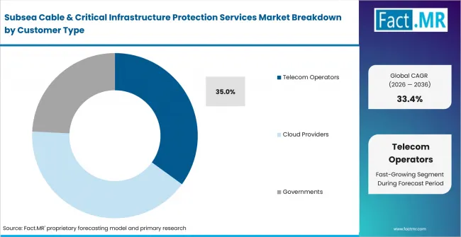 Subsea Cable & Critical Infrastructure Protection Services Market Analysis By Customer Type Subsea Cable & Critical Infrastructure Protection Services Market Analysis By Customer Type
