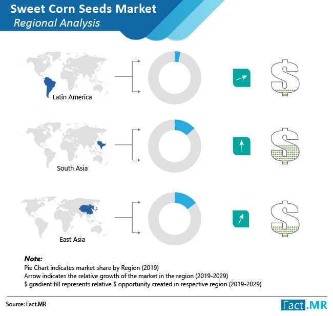 sweet corn seeds market 01