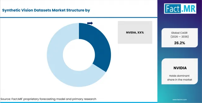 Synthetic Vision Datasets Market Analysis By Company Synthetic Vision Datasets Market Analysis By Company