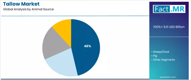 Tallow Market Analysis By Animal Source Tallow Market Analysis By Animal Source