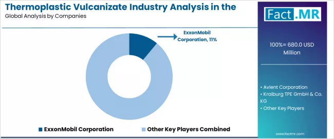 Thermoplastic Vulcanizate Industry Analysis In The Usa Analysis By Company