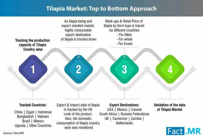 Tilapia Industry 2 tilapia industry 2