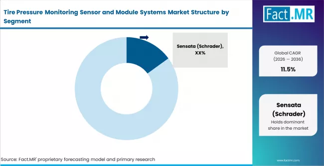 Tire Pressure Monitoring Sensor And Module Systems Market Analysis By Company