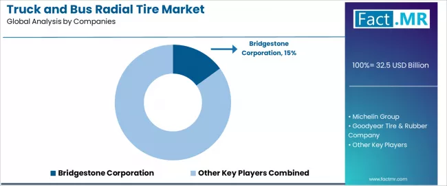 Truck And Bus Radial Tire Market Analysis By Company Truck And Bus Radial Tire Market Analysis By Company