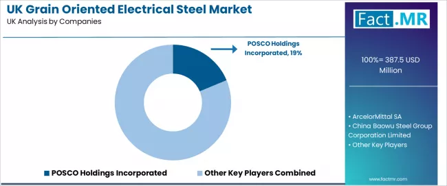 Uk Grain Oriented Electrical Steel Market Analysis By Company