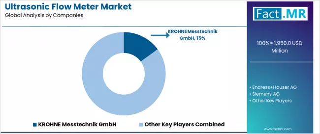 Ultrasonic Flow Meter Market Analysis By Company Ultrasonic Flow Meter Market Analysis By Company