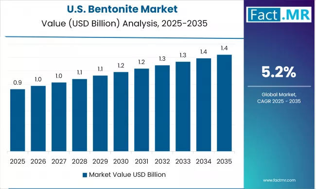 United States Bentonite Market Value Analysis 2025-2035