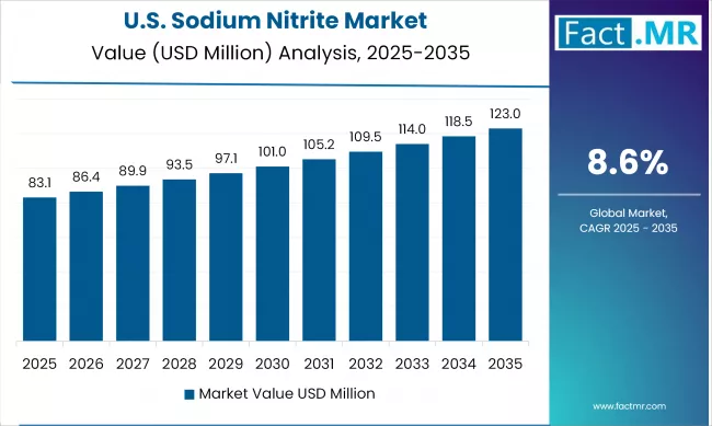 United States Sodium Nitrite Market Value Analysis 2025-2035