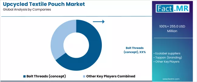 Upcycled Textile Pouch Market Analysis By Company Upcycled Textile Pouch Market Analysis By Company
