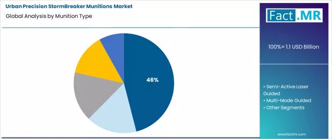 Urban Precision Stormbreaker Munitions Market Analysis By Munition Type