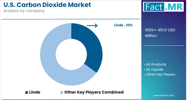 Us Carbon Dioxide Market Analysis By Company