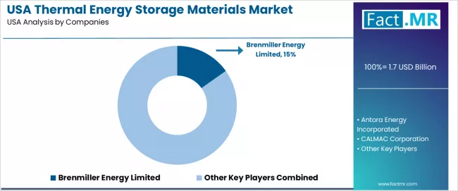 Usa Thermal Energy Storage Materials Market Analysis By Company Usa Thermal Energy Storage Materials Market Analysis By Company