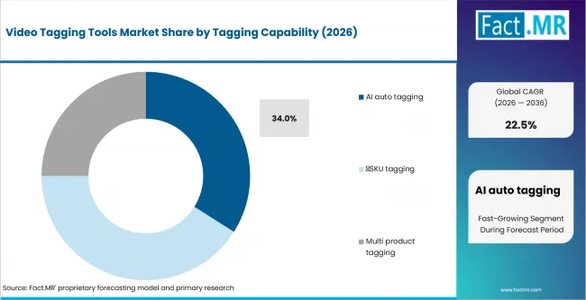 Video Tagging Tools Market Analysis By Tagging Capability