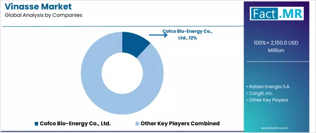 Vinasse Market Analysis By Company