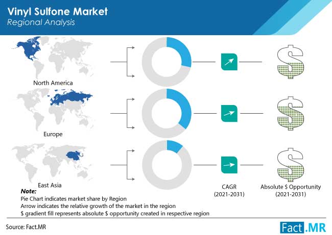 vinyl sulfone market region