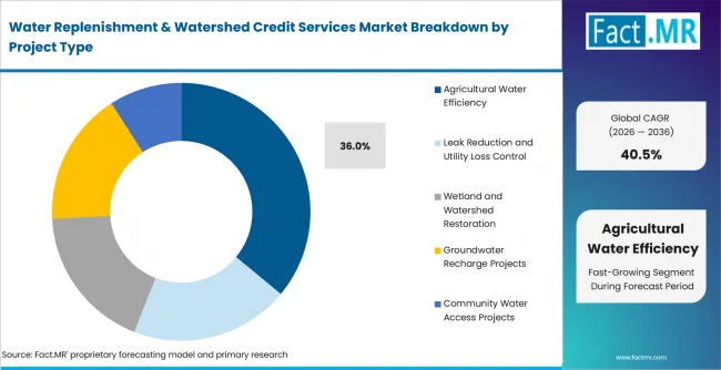 Water Replenishment & Watershed Credit Services Market Analysis By Project Type Water Replenishment & Watershed Credit Services Market Analysis By Project Type