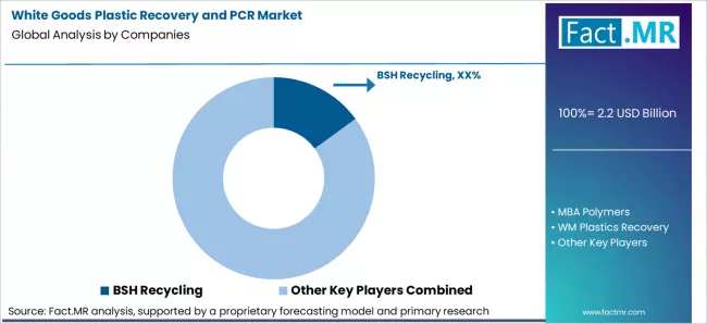 White Goods Plastic Recovery And Pcr Market Analysis By Company