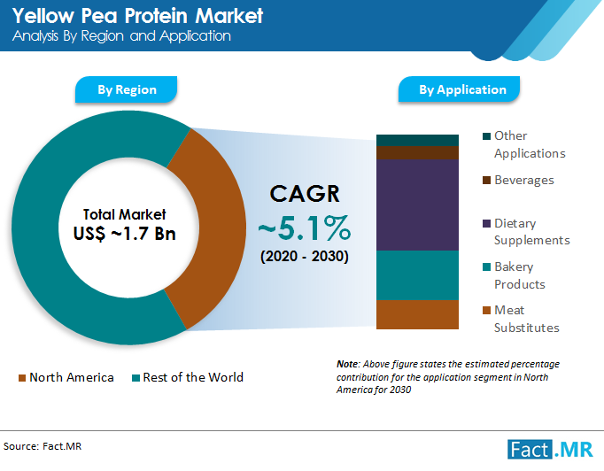 yellow pea protein market analysis by region and applicatin