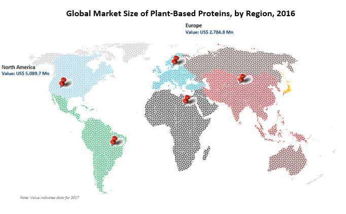 zein protein market