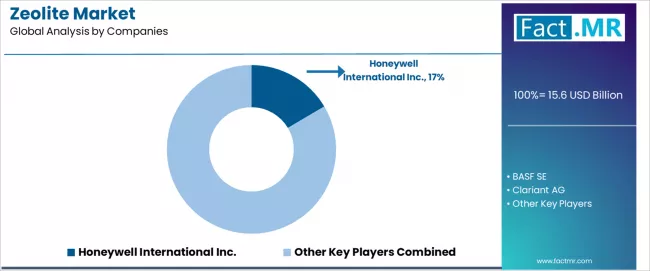 Zeolite Market Analysis By Company Zeolite Market Analysis By Company